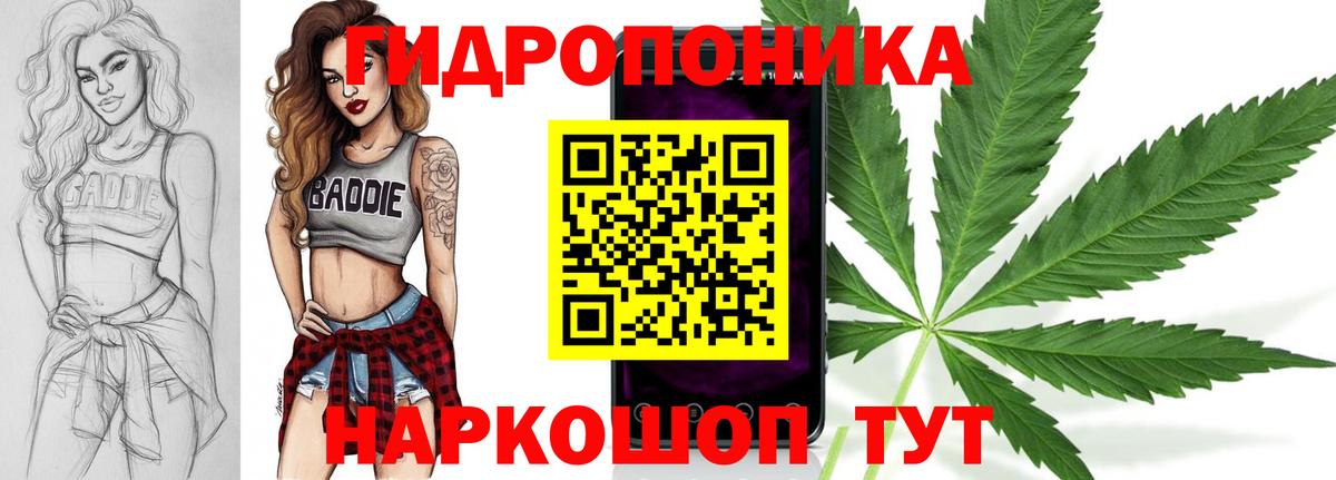 Марихуана планчик  Бошки Шишки тримм  Конопля Amnesia  МАРИХУАНА сатива  Шуя  Вход с VPN 